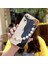 Telefon Kılıfı Samsung Galaxy M02S Zincirli Tam Kapaklı Telefon Kılıfı (Yurt Dışından) 1