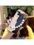 Telefon Kılıfı Vivo Iqoo 10 Zincirli Tam Kapaklı Telefon Kılıfı (Yurt Dışından) 1