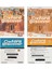 Oxford Discover Level 3 Student's Book Workbook With Online Practice 2nd Edition 1