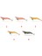 3025 Kalamar Zokası 12CM Different Squid Size 3.5 1