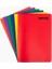 Flex Neo 60 Yaprak A4 Pp Kapak Dikişli Defter (6 Adet Kareli) 1