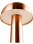 Cata Modern Mantar Bakır Masa Lambası Dokunmatik 3 Renk Dimi Modlu Sarjlı Bronz Kablosuz 3