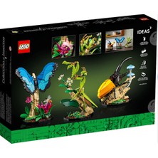 LEGO LEGO Ideas 21342 Böcek Koleksiyonu (1111 Parça)