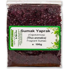 BioStore Öğütülmüş Sumak Yaprak 100 G