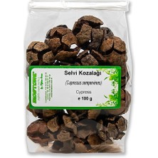 BioStore Selvi (Servi) Kozalağı 100 G