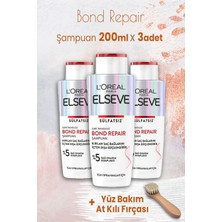 Elseve Bond Repair Şampuan 200 ml x 3 Adet ve Yüz Bakımı At Kılı Fırçası