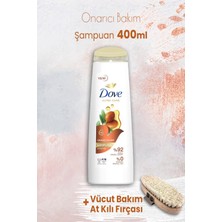 Dove Ultra Care Onarıcı Bakım Argan Yağı Şampuan 400 Ml Ve Vücut Bakım At Kılı Fırçası