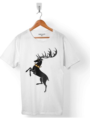 Kendim Seçtim Game Of Thrones House Baratheon Ours Is The Fury Erkek Tişört
