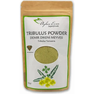 Ayhan Ercan Tribulus Powder Demir Dikeni Tozu 100 G