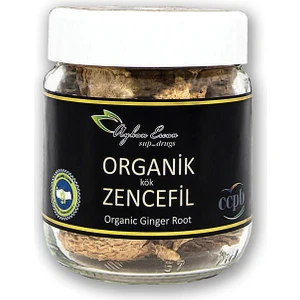 Ayhan Ercan Kök Organik Zencefil 60 G