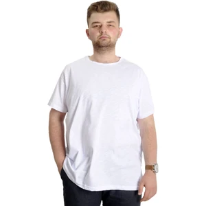Büyük Beden Erkek T-Shirt Flam Yaka Basic 20035 Beyaz