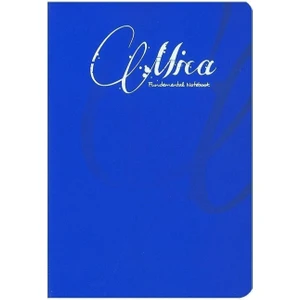 Mica A4 100 Yaprak Plastik Kapak Dikişli Defter- Çizgisiz/düz