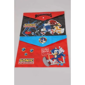 LİSANSLI SONIC 2'Lİ ÇITÇITLI DOSYA