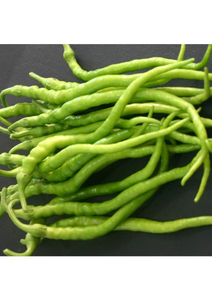 Kıl Aci Biber Fidesi 20 Li Ambalaj (Ince Sivri Acı Biber) Kahvaltılık Bol Verimli