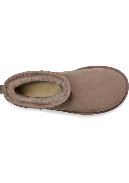 Ugg Süet Taş Kadın Bot 1134991