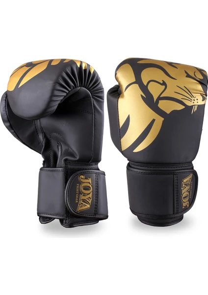 Lion Boks, Kick Boks Eldiveni