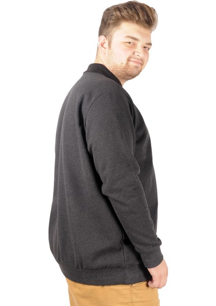 Erkek Sweat Polo Recycle Selanik Losangeles B20420 Antramelanj fiyatları