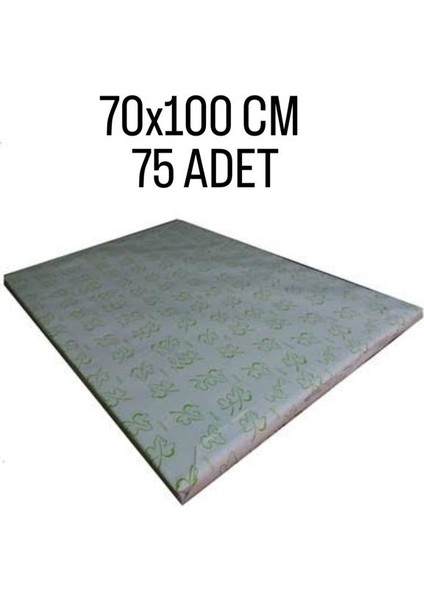 210 gr 70X100 cm Amerikan Bristol Karton - 75 Adet