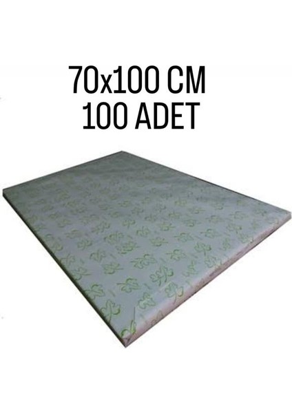 210 gr 70X100 cm Amerikan Bristol Karton - 100 Adet