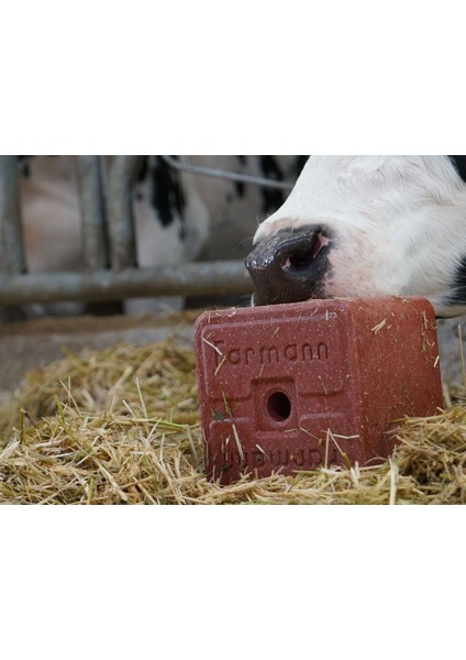 Energy Box Eco Lick Block - 10KG