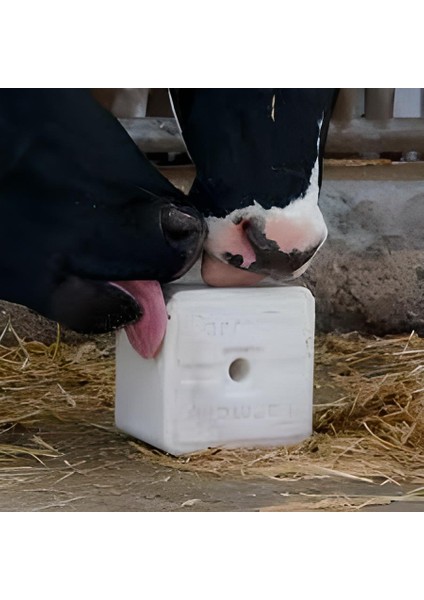 Pure Salt Block - 10KG