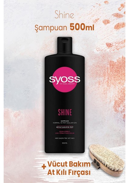 Şampuan Shine 500 Ml Ve Vücut Bakım At Kılı Fırçası