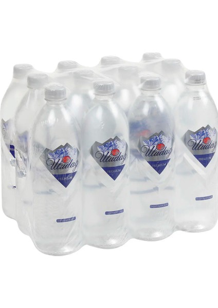 Premium Kaynak Suyu 1 L Pet X12 Adet