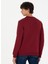 Bisiklet Yaka Bordo Erkek Sweatshirt JELLYSK023 5