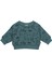 Hayvanlar Alemi Kapitone Sweatshirt 2