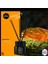 Home Black Series Likit Koku Magic Place 100ML. 3