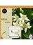 Basic Line Kokulu Mum Orange Blossom With Eucalyptus 115GR. 3