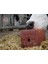 Energy Box Eco Lick Block - 10KG 1