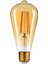 Dekoratif Flament Rustik ST64 LED Ampul 4W 2700K 1