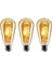 Rustik LED Ampul 3'lü Eko Paket Amber E27 Duy Armut Tipi ST64 Dekoratif 1