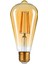 ST64 Armut Flamanlı Rustik LED Ampul 4 1