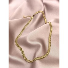 Bitki Dünyam Çelik Yılan Sırtı Gold Kolye