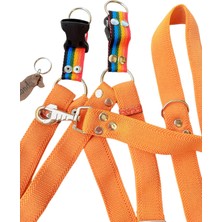 Balkonda Köpek göğüs tasması kayışlı set turuncu kolon genişlik:3cm göğüs ölçüsü:40-75cm ayarlamalı gezdirme kayışı:120cm dog harness TB3-10