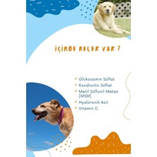 Muvicado Kedi ve Köpeklerde Hareket Sağlığı Destekleyici Glukozamin Tablet  Glukozamin Msm Chondroitin Move G