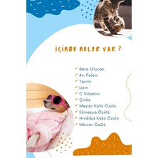 Muvicado Kedi ve Köpeklerin Sağlık Sistemini Güçlendiren Destekleyen Tablet Immune C