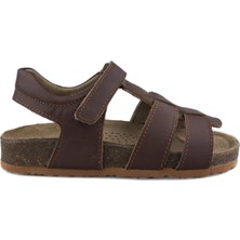 Cici Bebe Deri Kahverengi Erkek Çocuk Sandalet