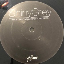 Alithestereo Shinygrey – Why Plak