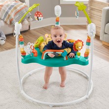 Fisher-Price Fisher Price Işıklı Ve Sesli Sevimli Leopar Jumperoo Bebek Aktivite Merkezi HND47