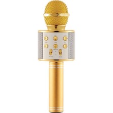 Torima WS-858 Karaoke Mikrofon Gold