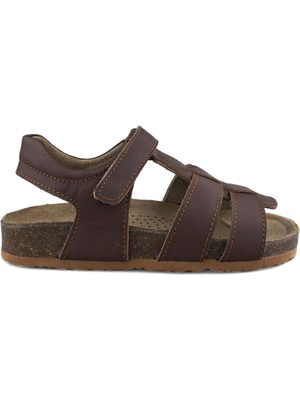 Cici Bebe Deri Kahverengi Erkek Çocuk Sandalet