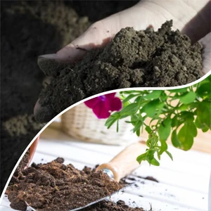 Bitki Dünyam 20 Litre Özel Çiçek Toprağı