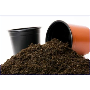 Bitki Dünyam 40 Litre Özel Karışımlı Bitki Toprağı - Torf