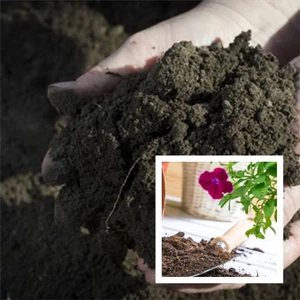 Bitki Dünyam 50 Litre Özel Çiçek Toprağı