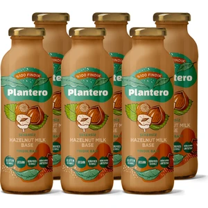 6'lı Fındık Bazı Kosantre Seti 250 gr x 3 (18 Lt Bitkisel Süt) Fındık Katkısız