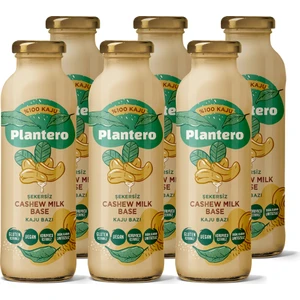 6'lı Kaju Seti Bazı Konsantre 250 gr x 3 Kaju Katkısız