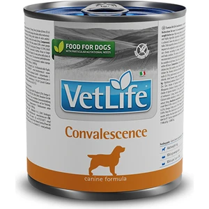 Vetlife Convalescence Dog Hasta Köpek Maması 300GR